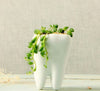 Creative Teeth Model Flowerpot White Ceramic