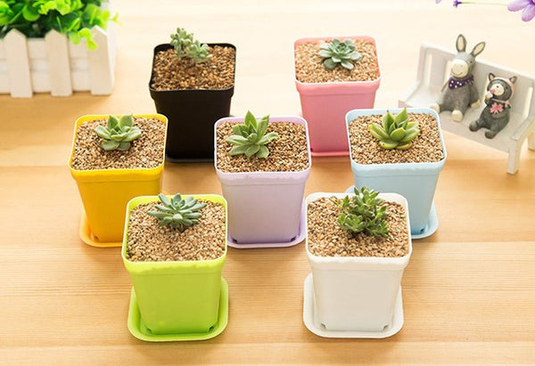 Flowerpot For Home Office Decoration