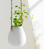 Garden Pots