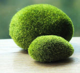 Garden Decor