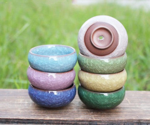 Mini Round Juicy Plants Flowers Vase Flowerpots