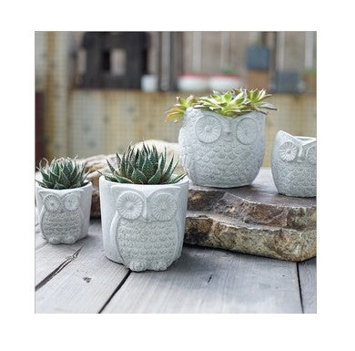 Owl Garden Pots Planters Succulents Flower