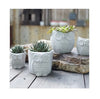 Owl Garden Pots Planters Succulents Flower